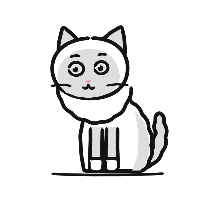 Birman cat: a simple Big Heads style line drawing