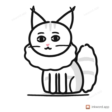 Maine Coon cat illustration