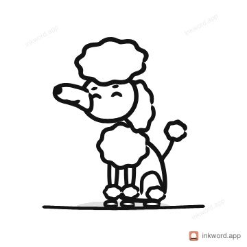 Poodle dog illustration