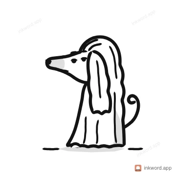 Afghan Hound dog illustration